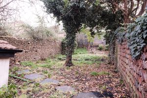 Garden- click for photo gallery